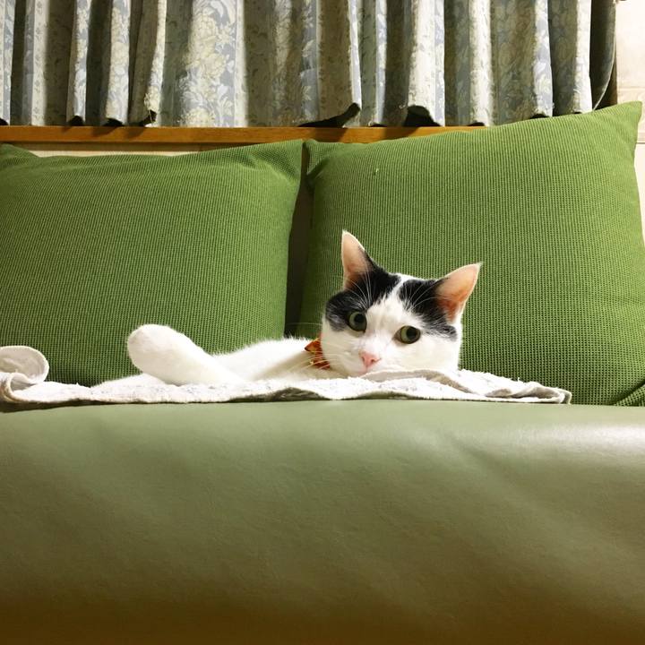 79df9564 45b5 4613 8e62 87a93ed27e6e