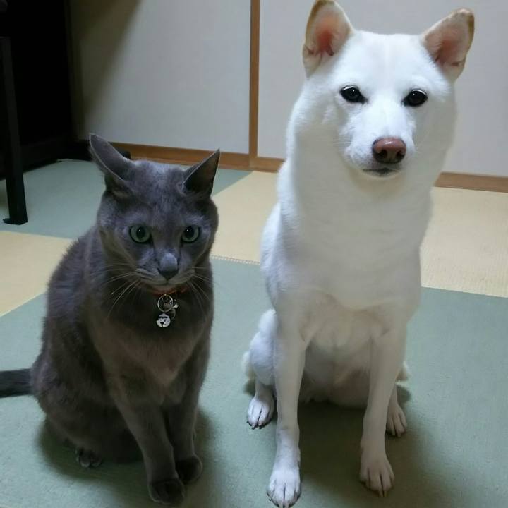 79dfbcfb b7e0 4f63 b4d6 958720ae6c40