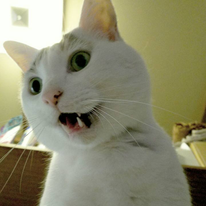 79e04040 987e 4566 bb57 93ab3b7980c4