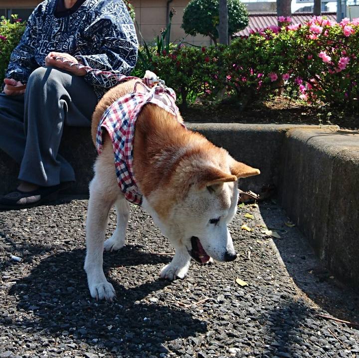 79e049ba 3a08 4abd 8695 985e7121068d