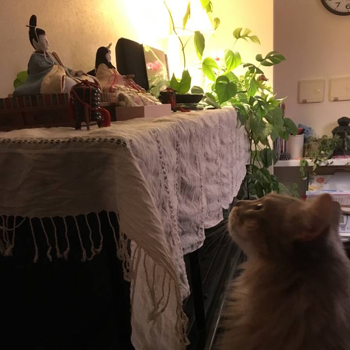 79e0cf13 76bd 4100 aa13 4f51a2e390c1