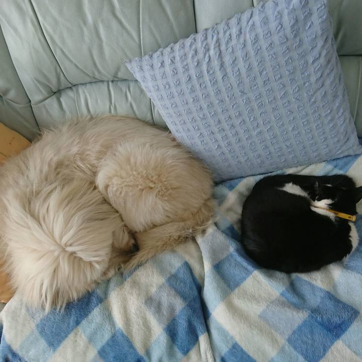 79e17649 b1a9 4ac0 9527 3ad14c9c0fc7