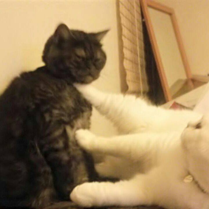 79e1ef2b f132 4a9f 8bed 73555ce3e65a