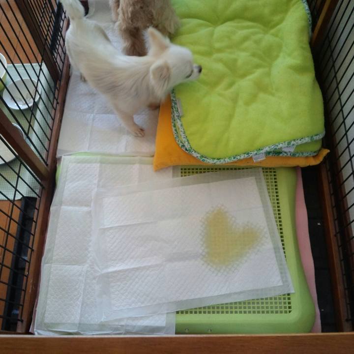 79e2487d 4fca 4b85 a67e 461a22b8be36