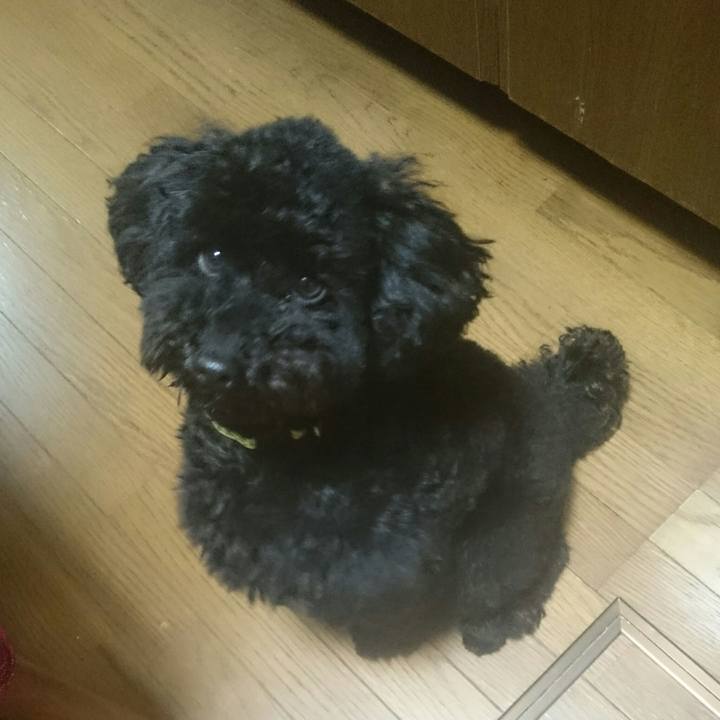 79e29d06 6071 4a75 bf1a 6b44593c851c