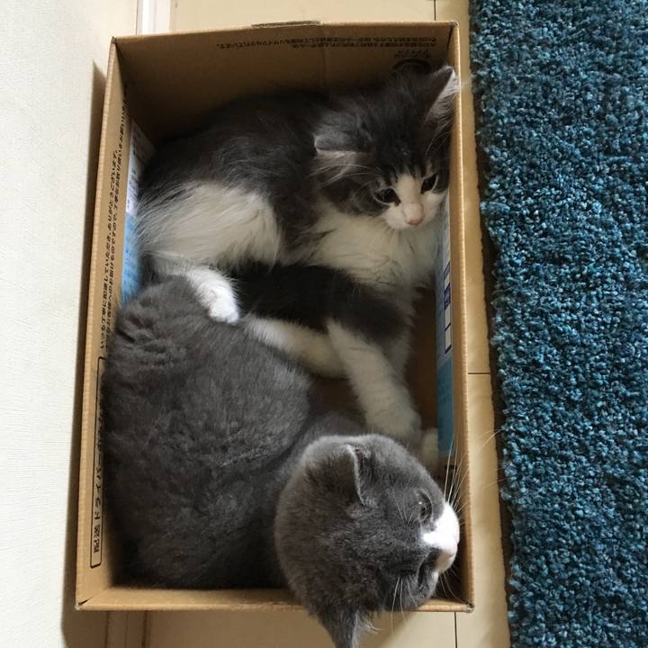 79e45752 075e 43f4 9ea1 939042bb3dda