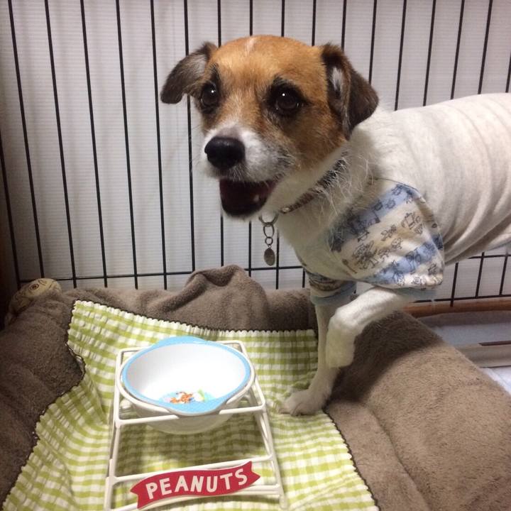 79e50f9c 0e8b 4d1c 9db8 668b8817826e