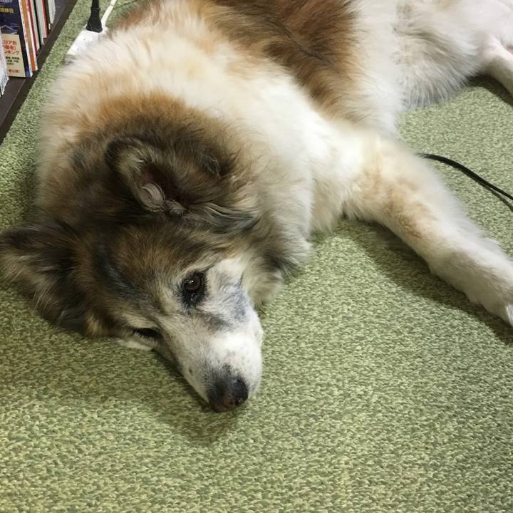 79e5387b a4f4 4dde 8581 f9ee0c2e9223