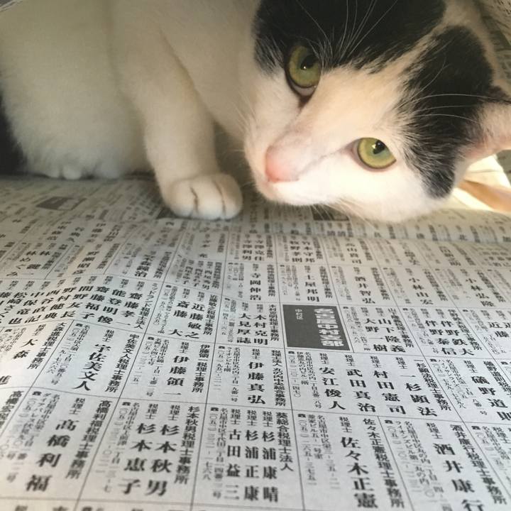 79e584d2 0772 4e5e 90a9 963dceba8919