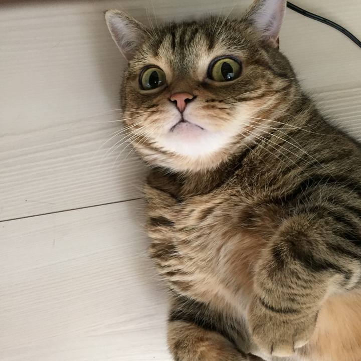 79e5c442 b788 482e b717 186fad1e5293