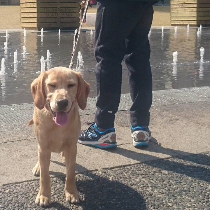 79e630a6 45b1 4e82 9940 168854d8315e