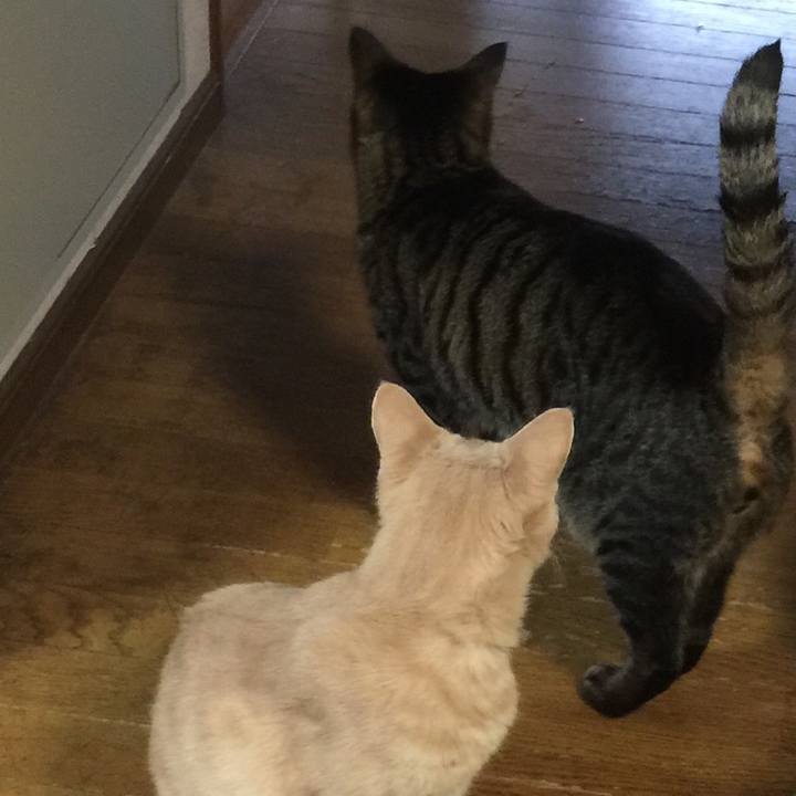 79e85d3b 8416 4b99 b968 89f6e8168f37