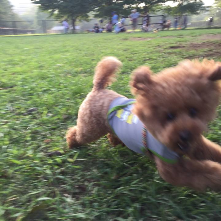 79e8e31f e55a 4b23 97ba e6e4f12d352b