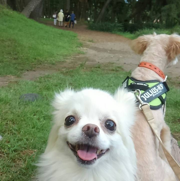 79e90125 792f 4773 81b4 bbe02b4018b8