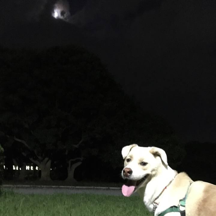 79e92c73 e109 4c15 ab8b 43e04be62c60