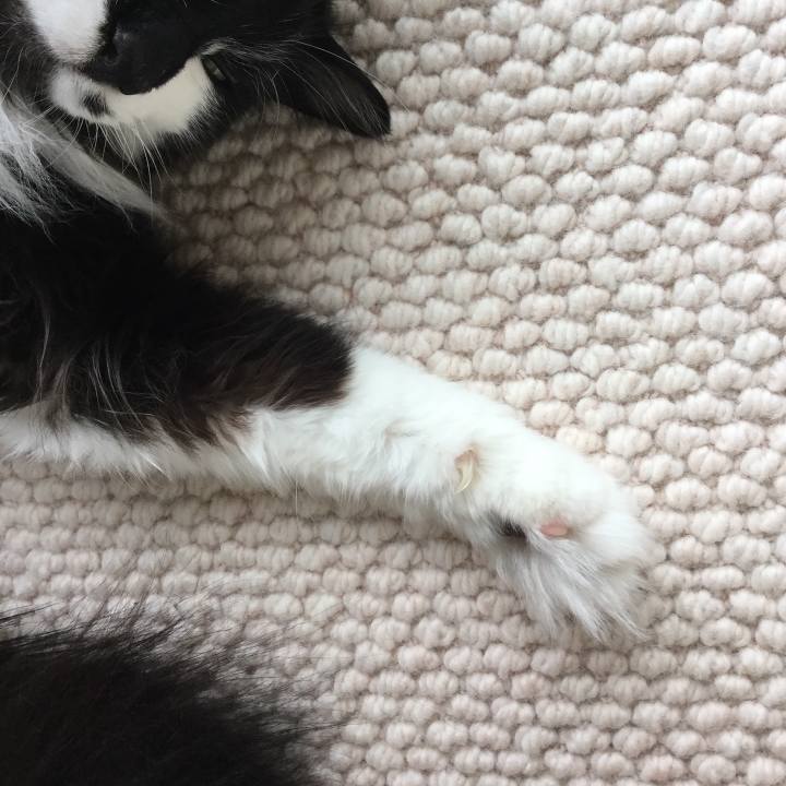 79e966cc 15d4 47dc ad80 ffad5a5eb267