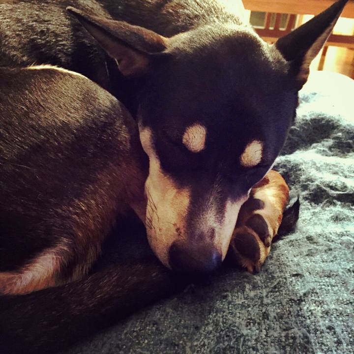 79e9cff1 b6a6 4436 9bea fb3404cfe544