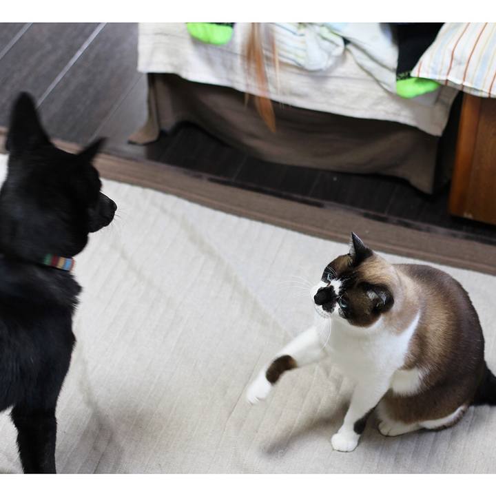 79ea429b 65fa 421a bde2 3841ee1fe017