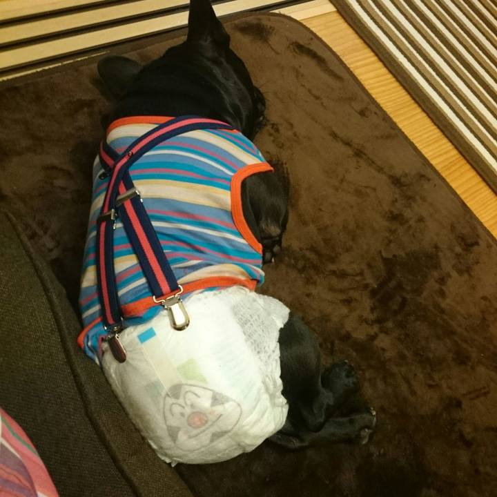 79ea4342 bf8c 4cb9 9c47 c6a79d6413c9