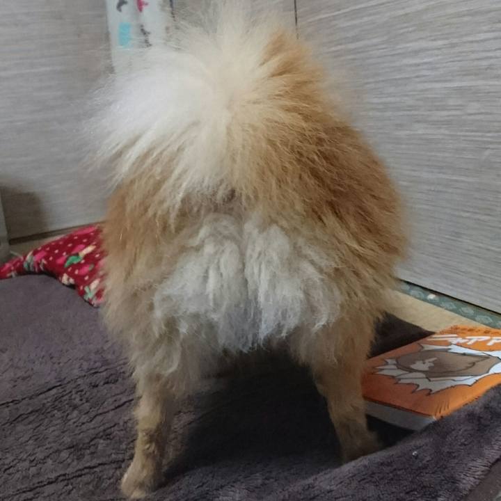 79ea76e7 0cf6 4f56 a6e9 c9802a91b186