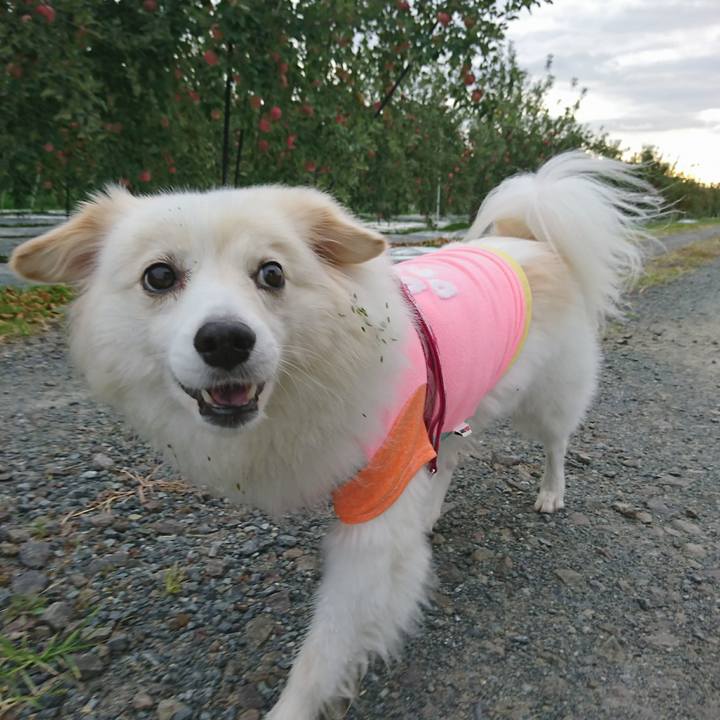 79eae284 ef35 4d8b a604 a6d8580463ba