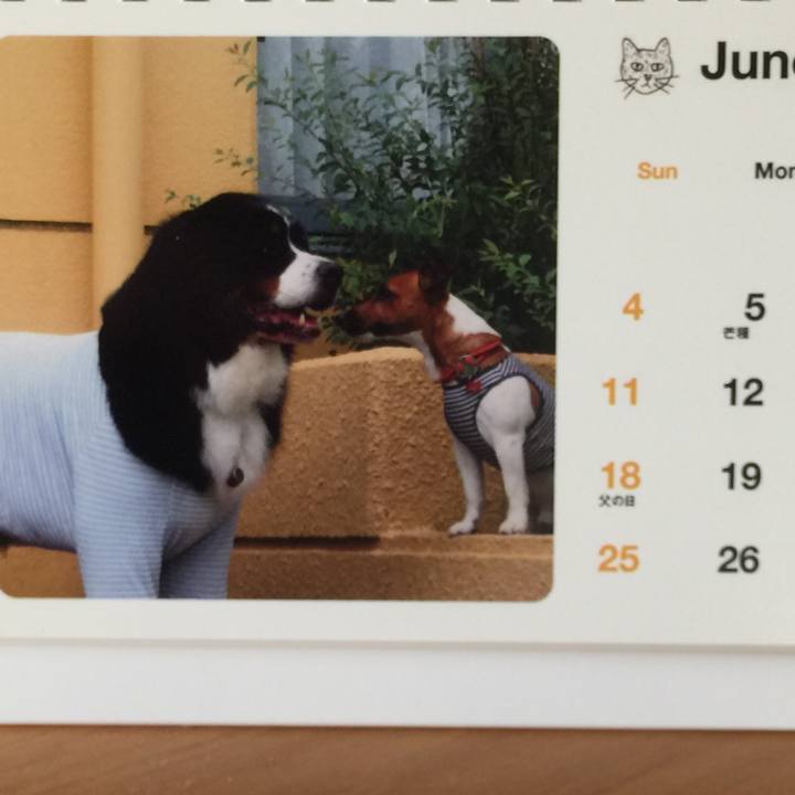 79ebe1e2 c46e 4f3e 8f95 fe2a71af56ec