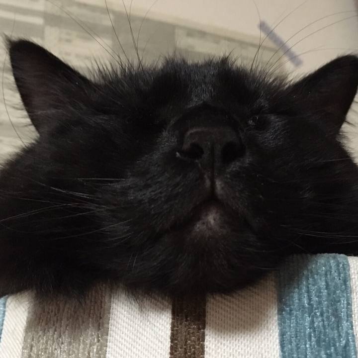 79ecc76b 75b3 4d79 84ec 4b04eeefa9f2