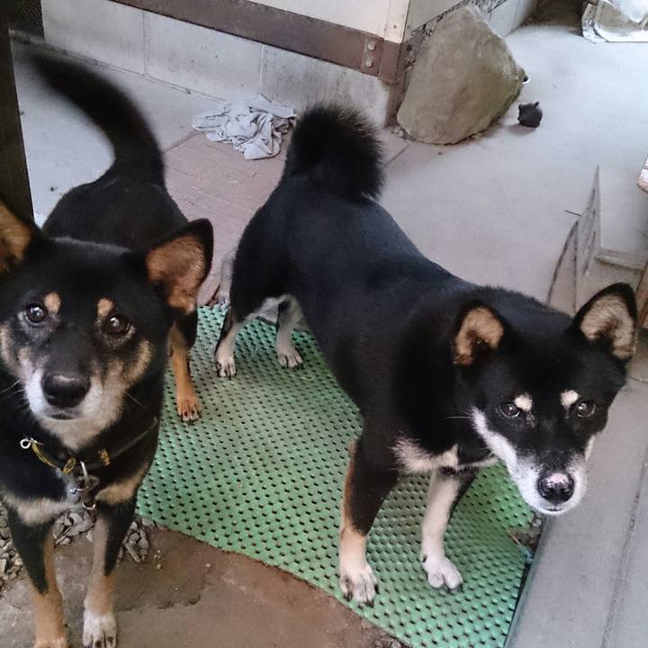 79ed3341 3a9f 4012 9430 a76cddf7fa6f