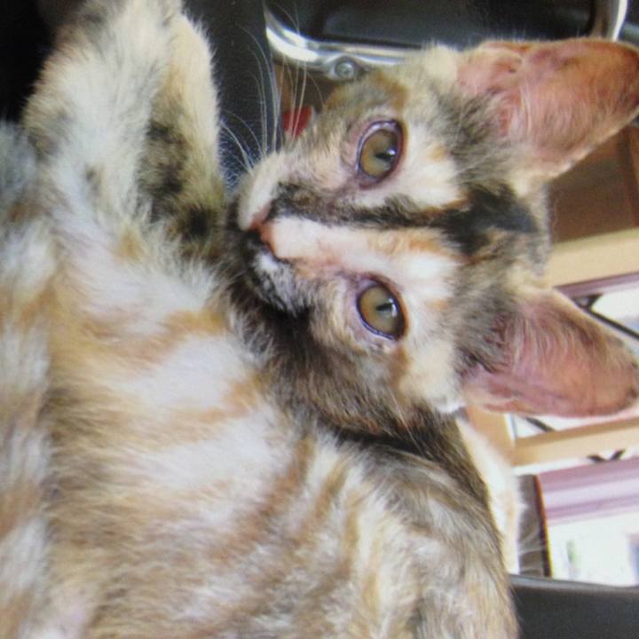 79ed8abc 03ec 4d47 9182 c0fc18678c4b