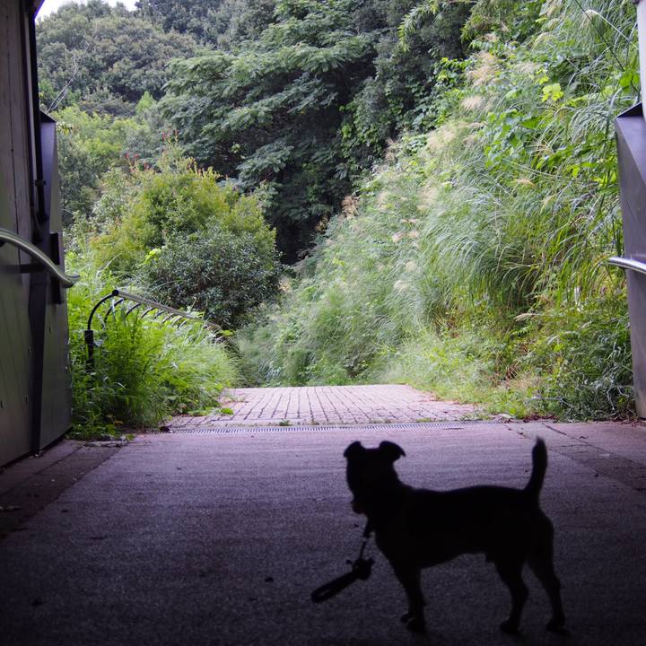 79ee0527 ce64 4754 ae7a fcd903e08113