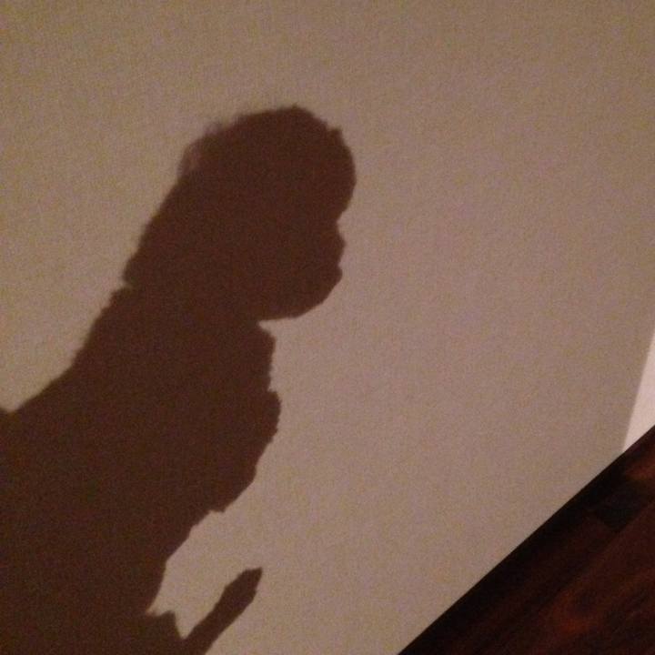 79eeabc6 d5e7 4bfd a6c2 563ca3e66113