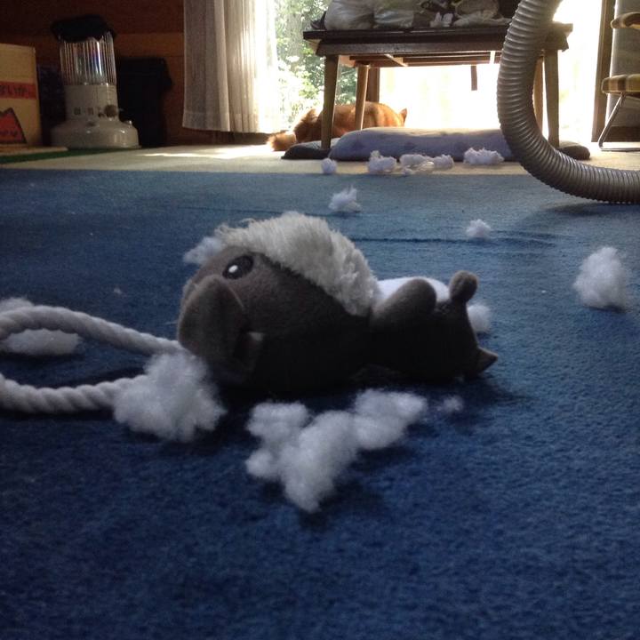 79ef0be2 3957 47a5 99f9 3f9fc3e19ead