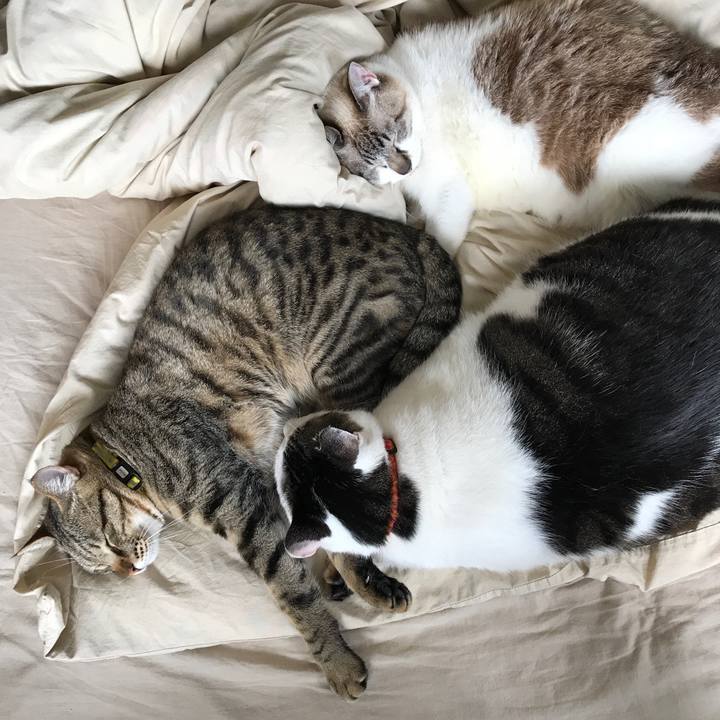 79ef2d23 8650 4157 9f75 e5771537abdd