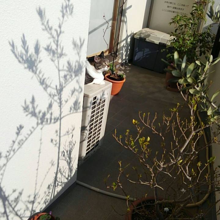 79ef3f0b 6642 4685 bd05 678b7e4cc4fa