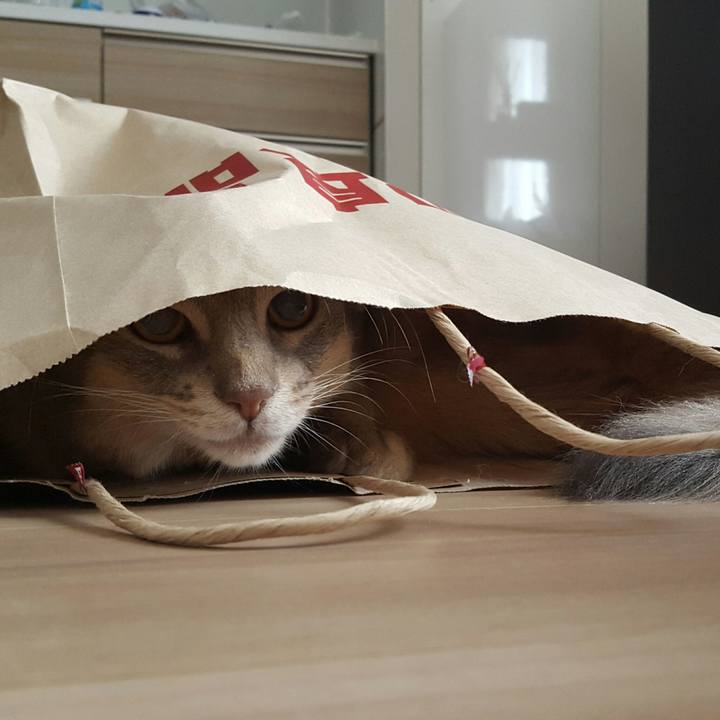 79ef5f5f 9570 40ec 903d bddd7dff0362