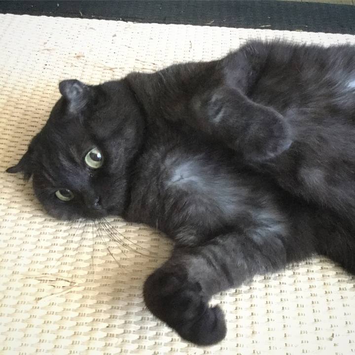 79f020a7 c37d 4706 86a3 f836c0cd51cd