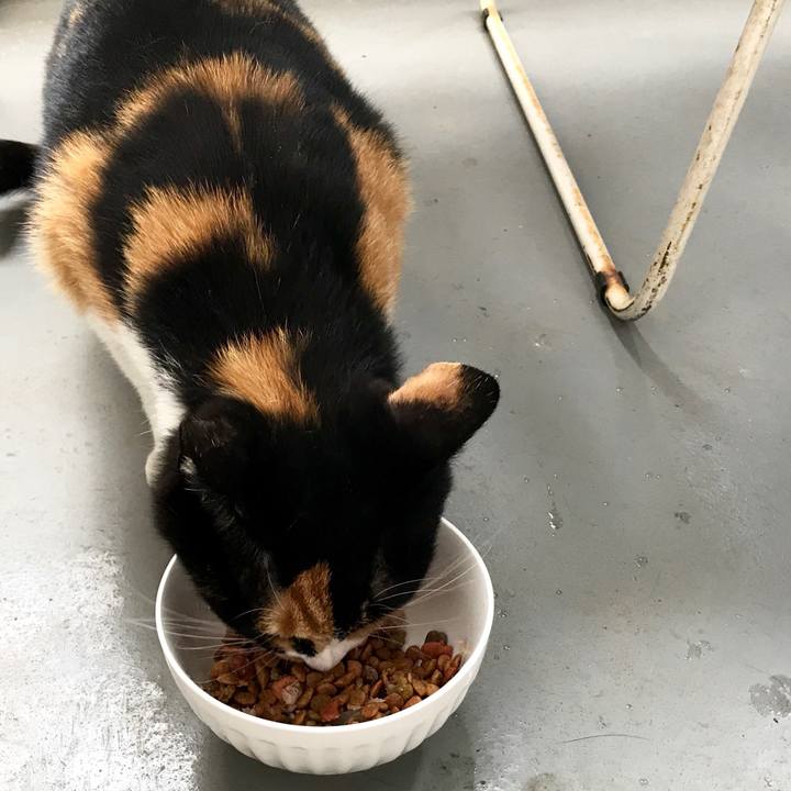 79f0dbe0 f71a 4c38 9c4c 0eeaa671eafc