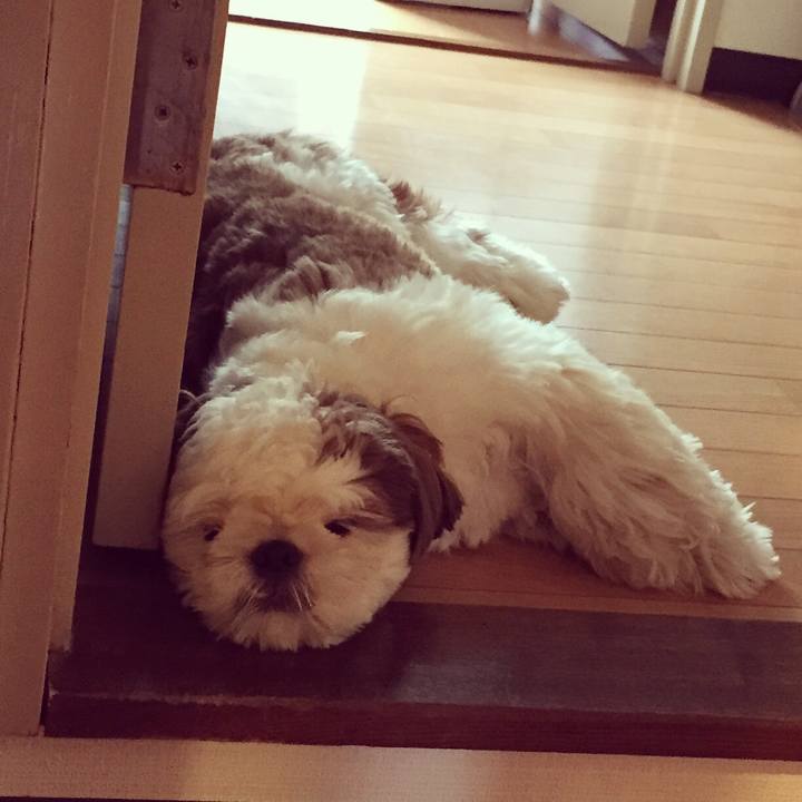 79f0f078 8308 497d 9393 2255c1855223