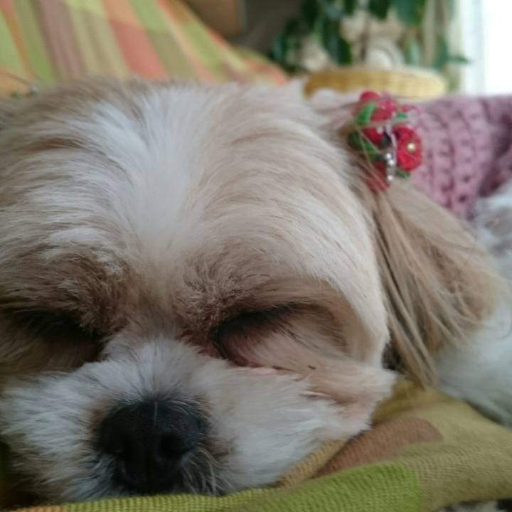 79f13e47 7c27 408e 810e 93399fc21b03