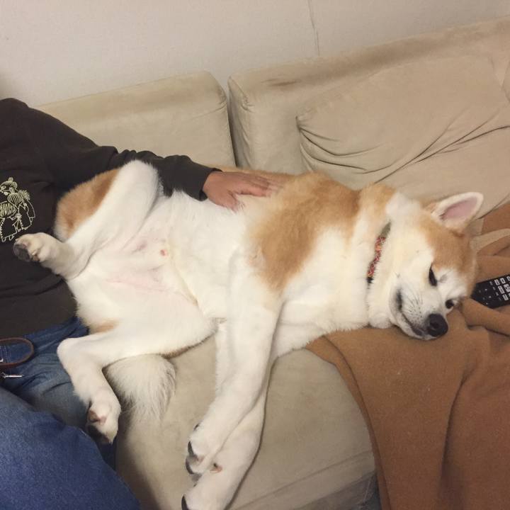 79f1d3db c8a8 40bc a4ea 041e5ebf6c9d