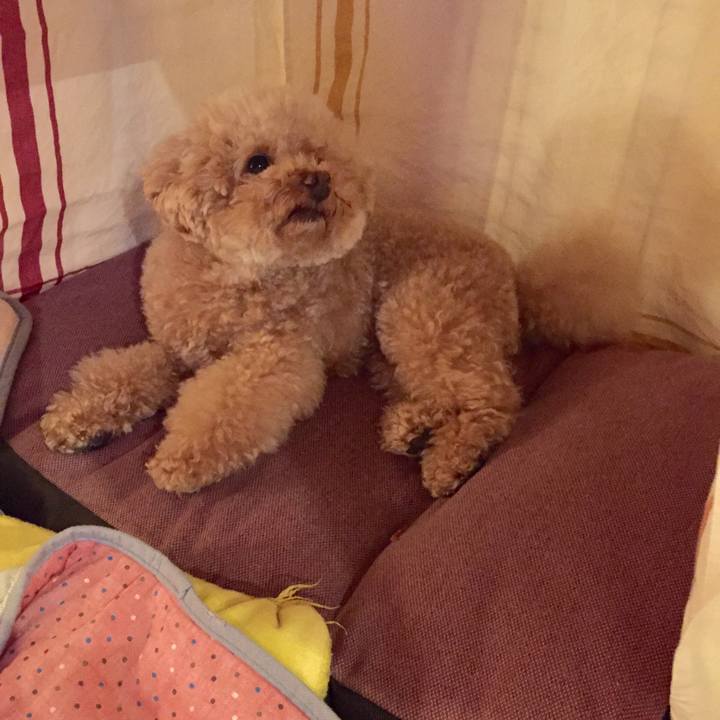 79f22af2 50e8 4b5d 8eb5 e1fb38b1303c