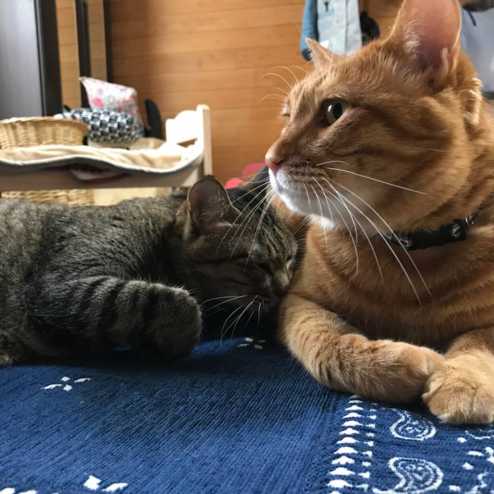 79f2831b efac 45bb b0fd 452e5e91a69a