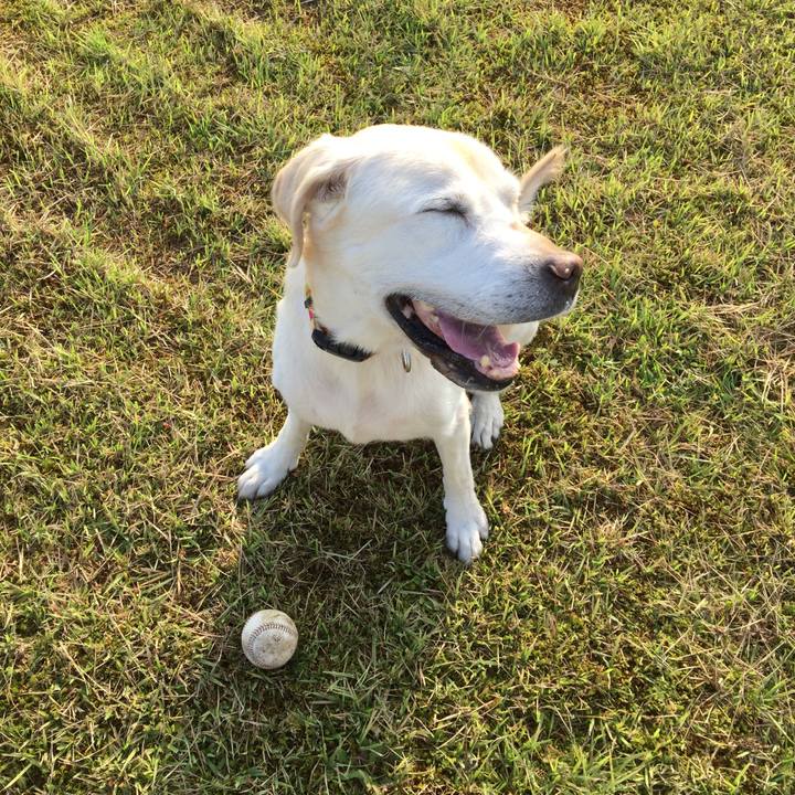 79f2f8e6 7119 4f87 b743 1055e5bc792c