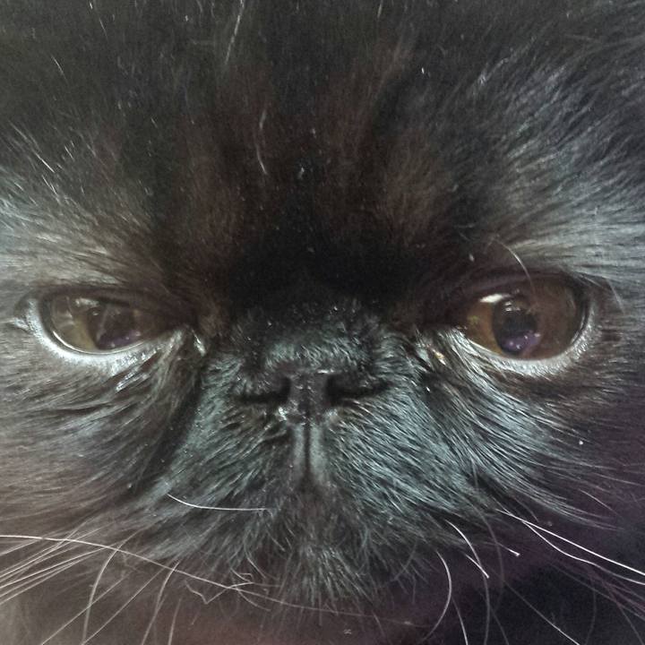 79f38928 e70e 49cd a5a2 7e6a8db411fd