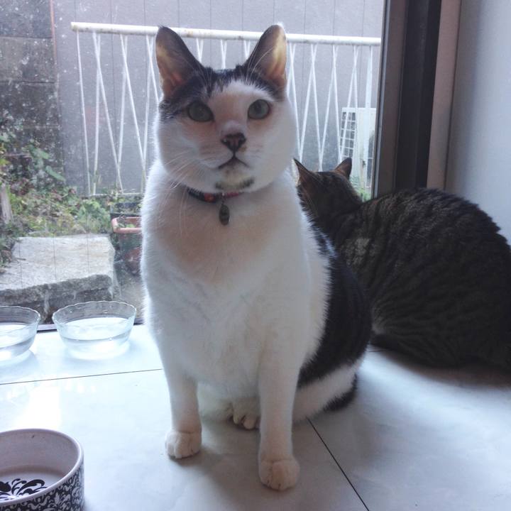 79f40f87 160e 4bf3 97ae f4d14a794bb9