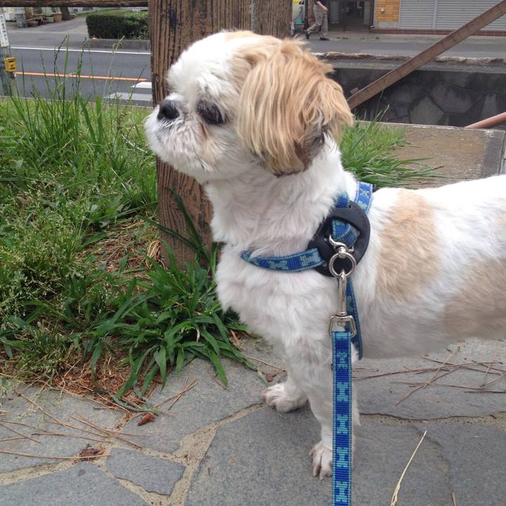 79f4d427 78f8 4e1f 8303 dcfb03dbf191