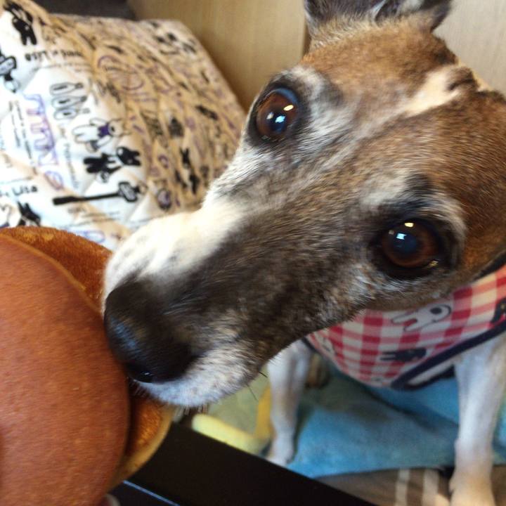 79f51818 f28f 45a3 a25b e555d1770718