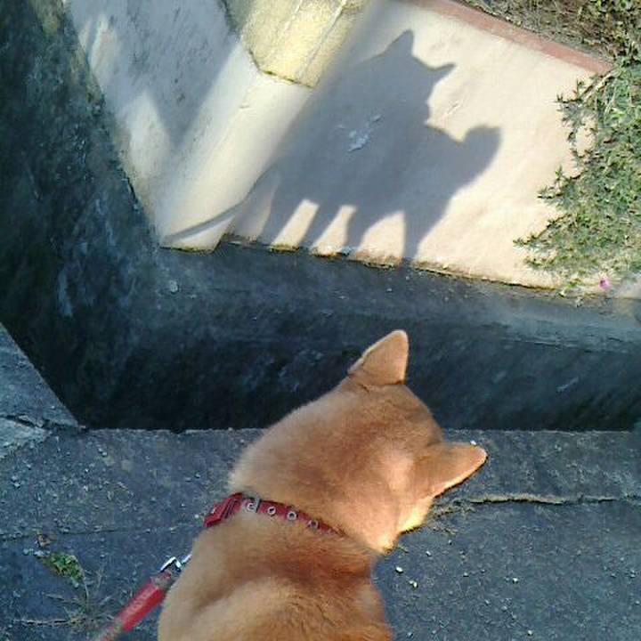 79f57c10 f0be 4a61 b006 755867859c98