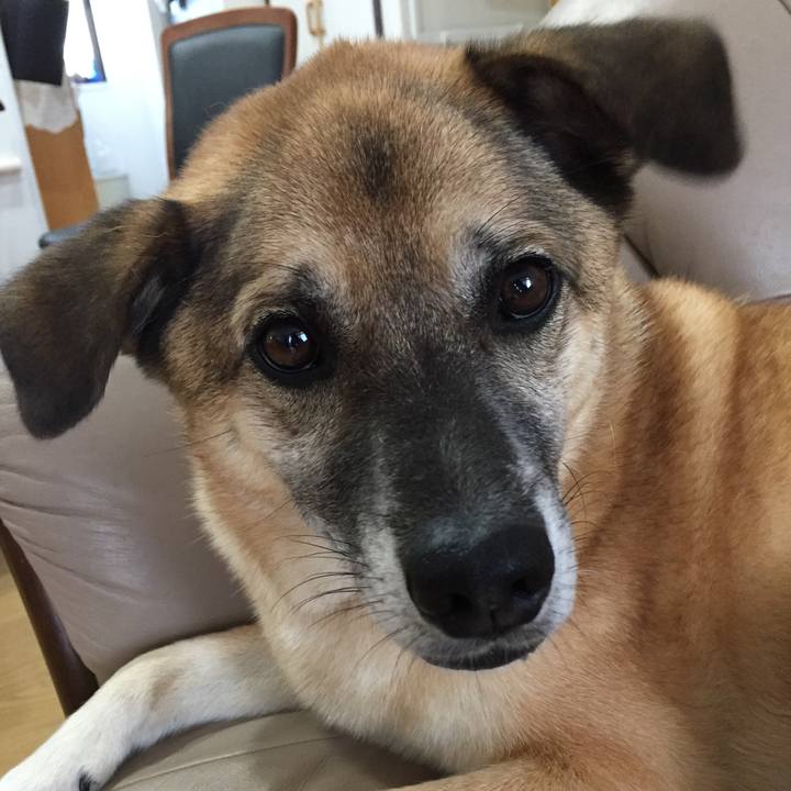 79f591d5 0212 4d83 8c0d 861020b00195