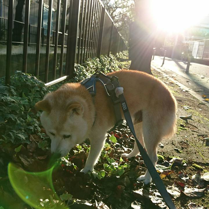 79f5bdb9 e3cf 4385 854b cddc4ef04a6f